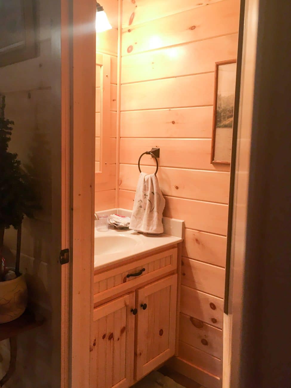 Settler Log Cabin in Massachusetts2