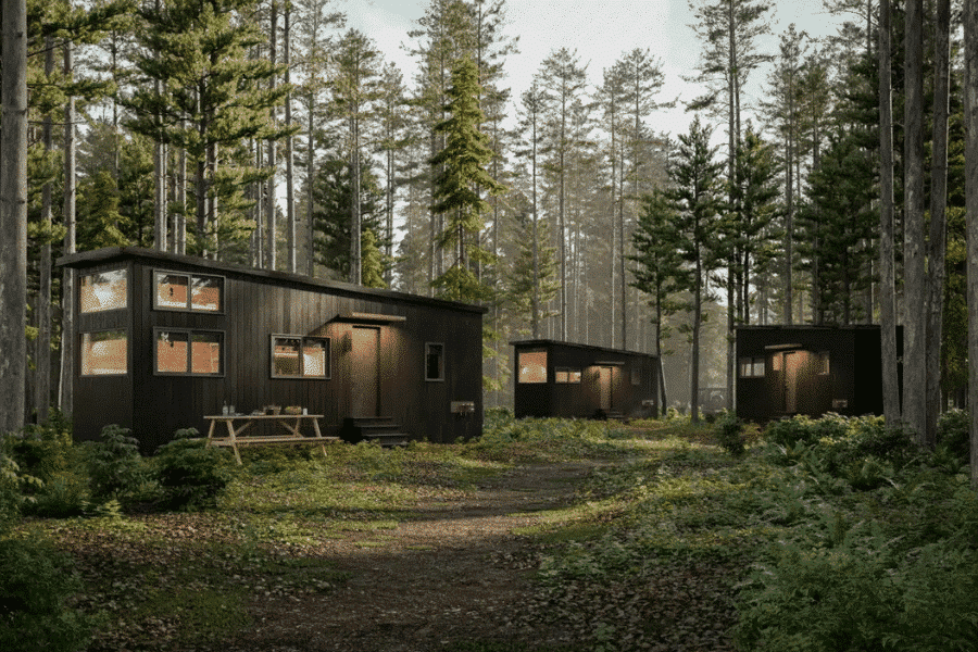 Cluster of modern black tiny homes with large windows, surrounded by tall pine trees in a peaceful forest setting, with picnic tables and natural pathways