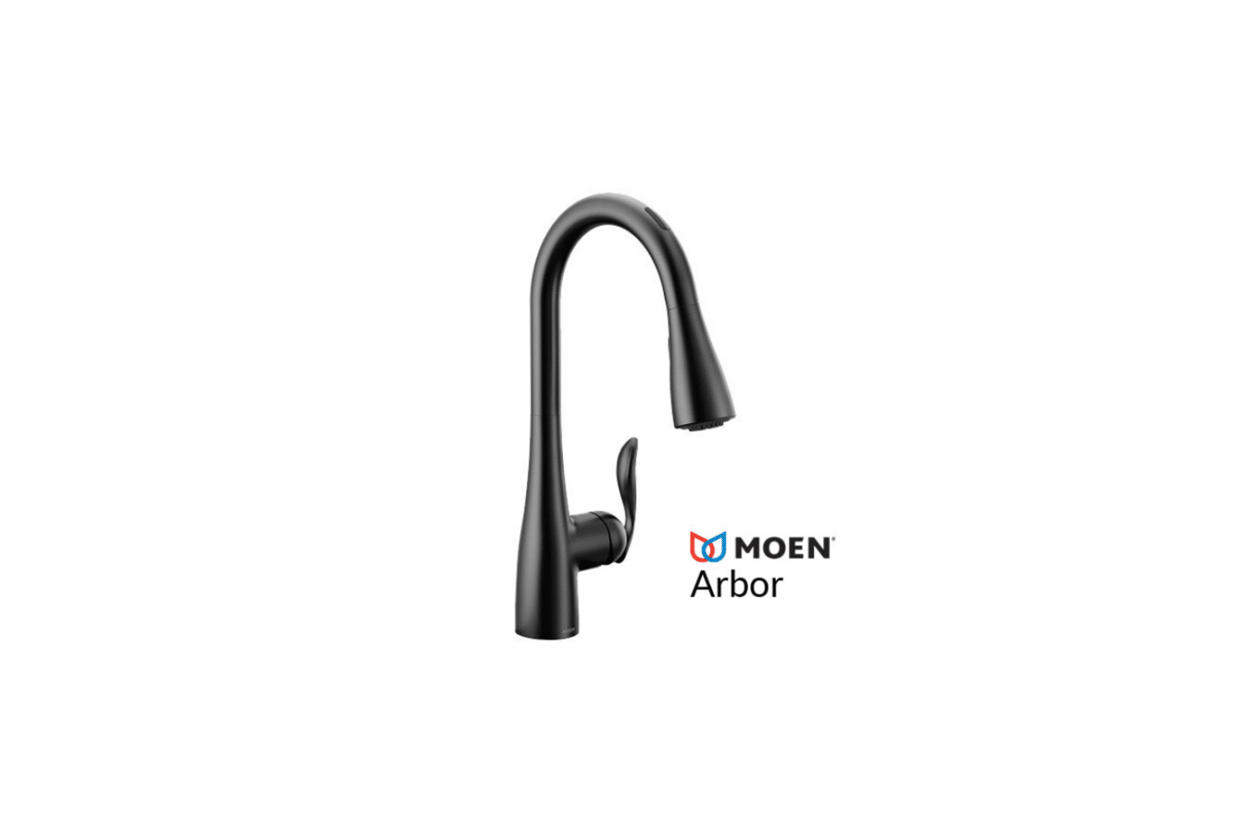 kitchen with pull down sprayer black