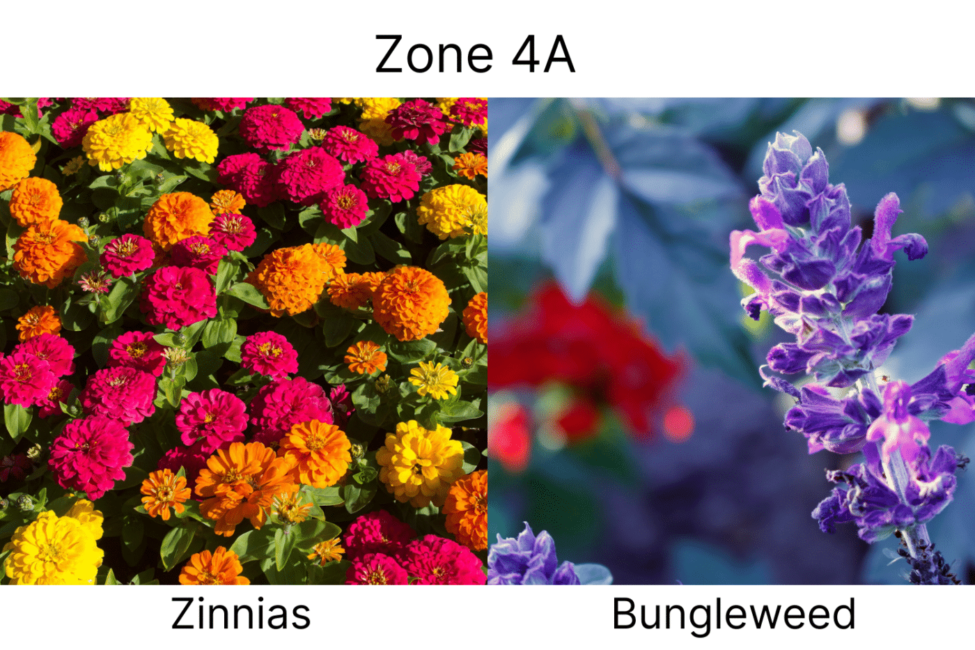 Manufactured Home landscape ideas 4a