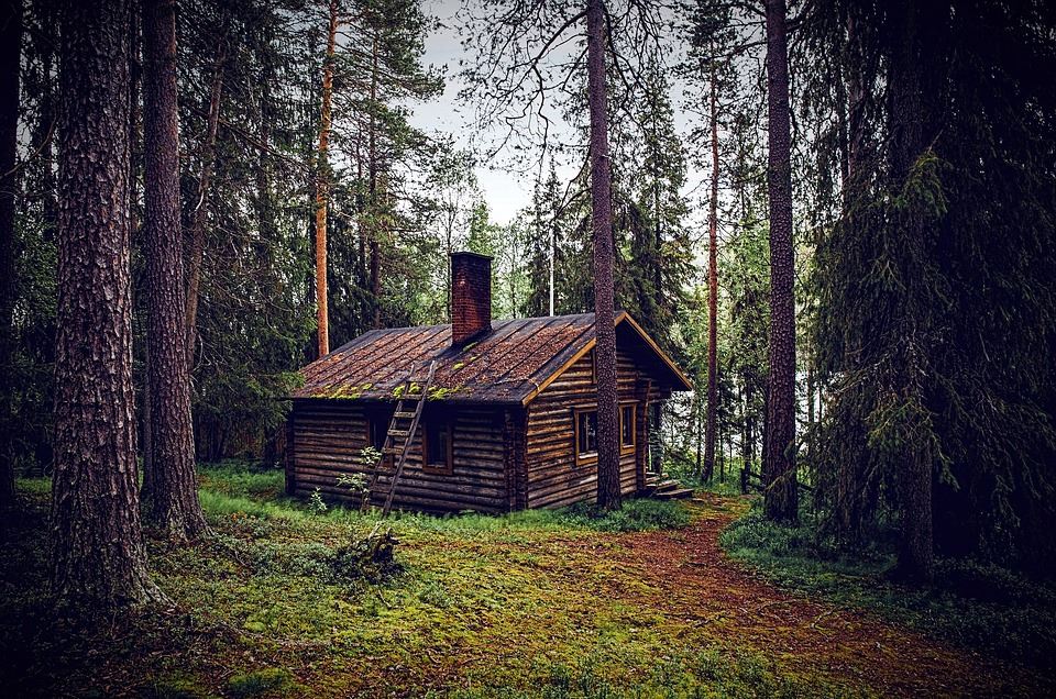 log cabin history in the woods