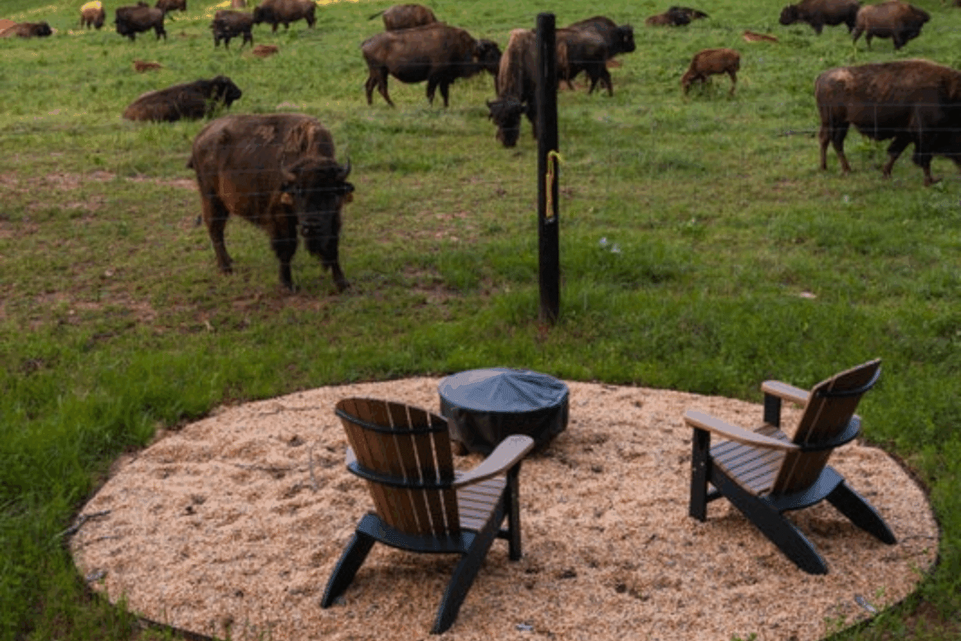 Virginia Bison Co outdoor hospitality area in Culpeper VA with A Frame park model tiny home