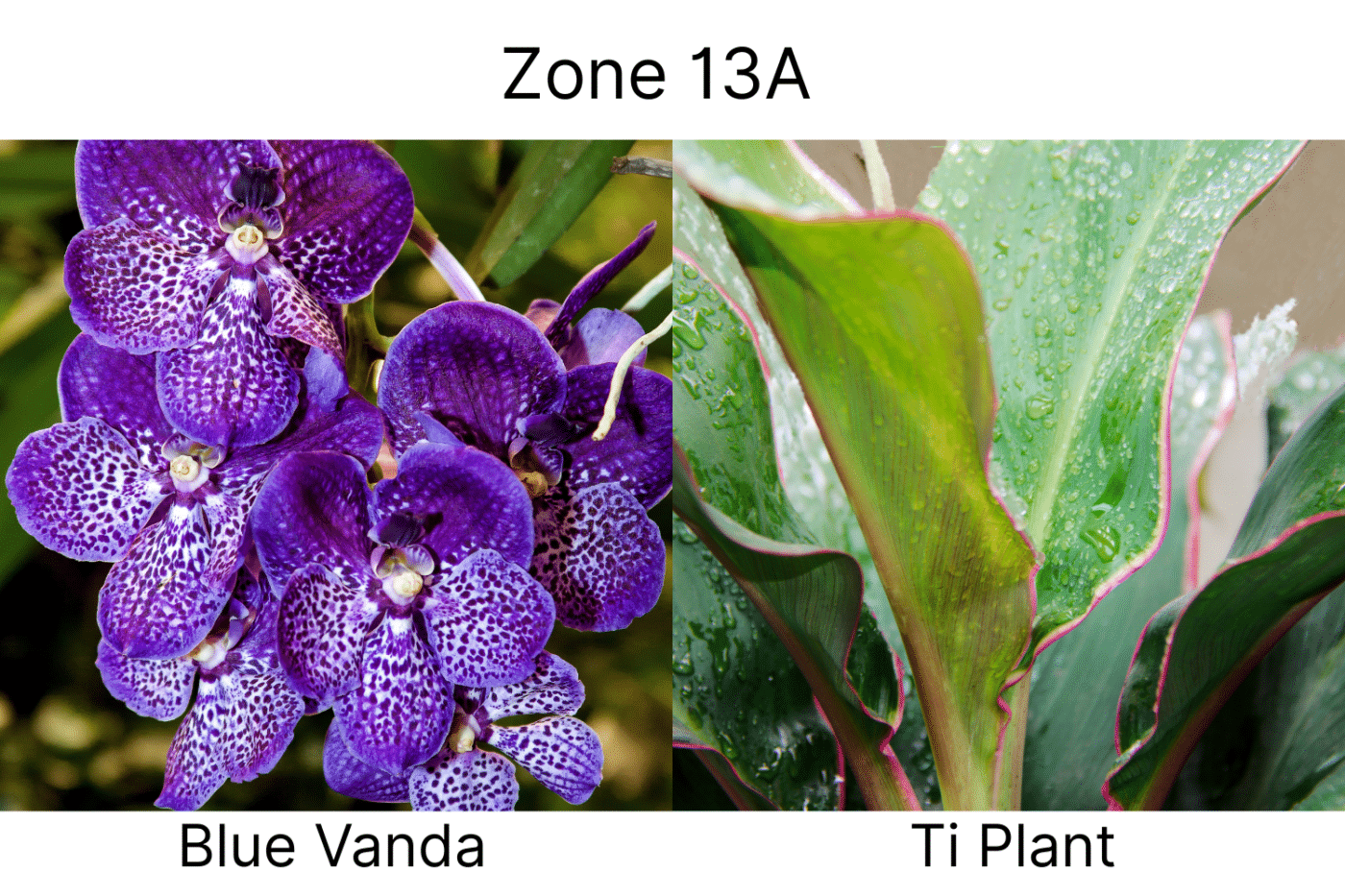 Manufactured Home landscape ideas 13a