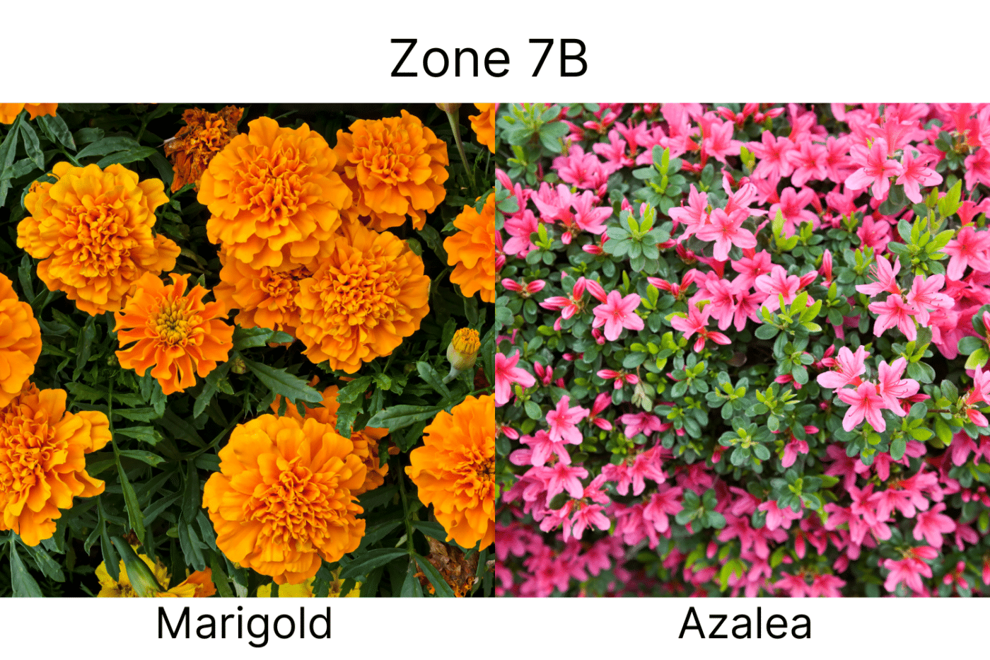 Manufactured Home landscape ideas 7b