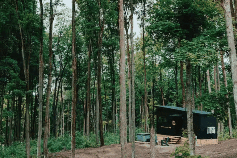 Modern Finished Nook Studio Park Model Tiny Home in East Jordan MI Retreat North Cabin 3