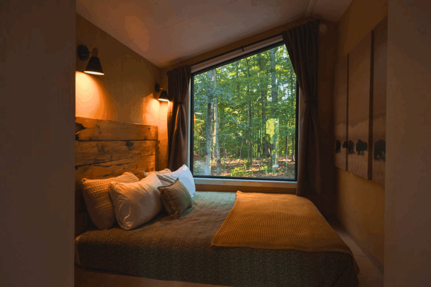 A frame park model tiny home in Culpeper VA