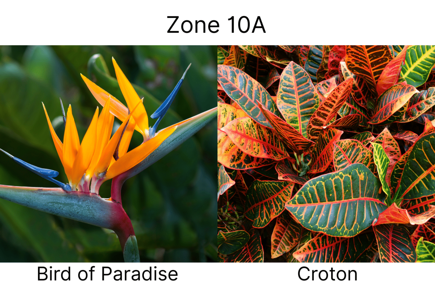 Manufactured Home landscape ideas 10a