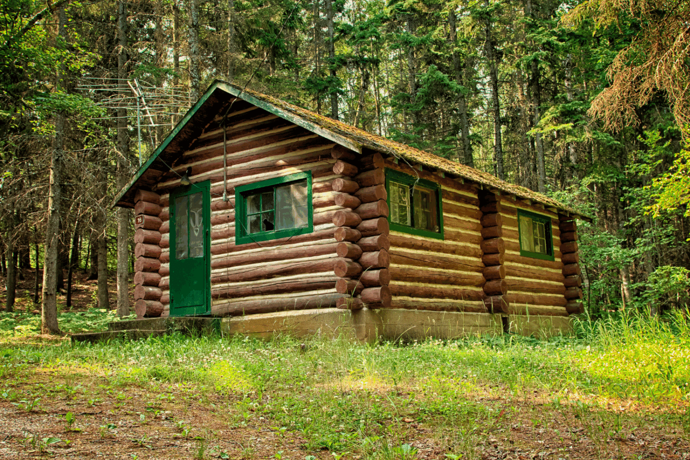 are certain cabins prone to musty smells