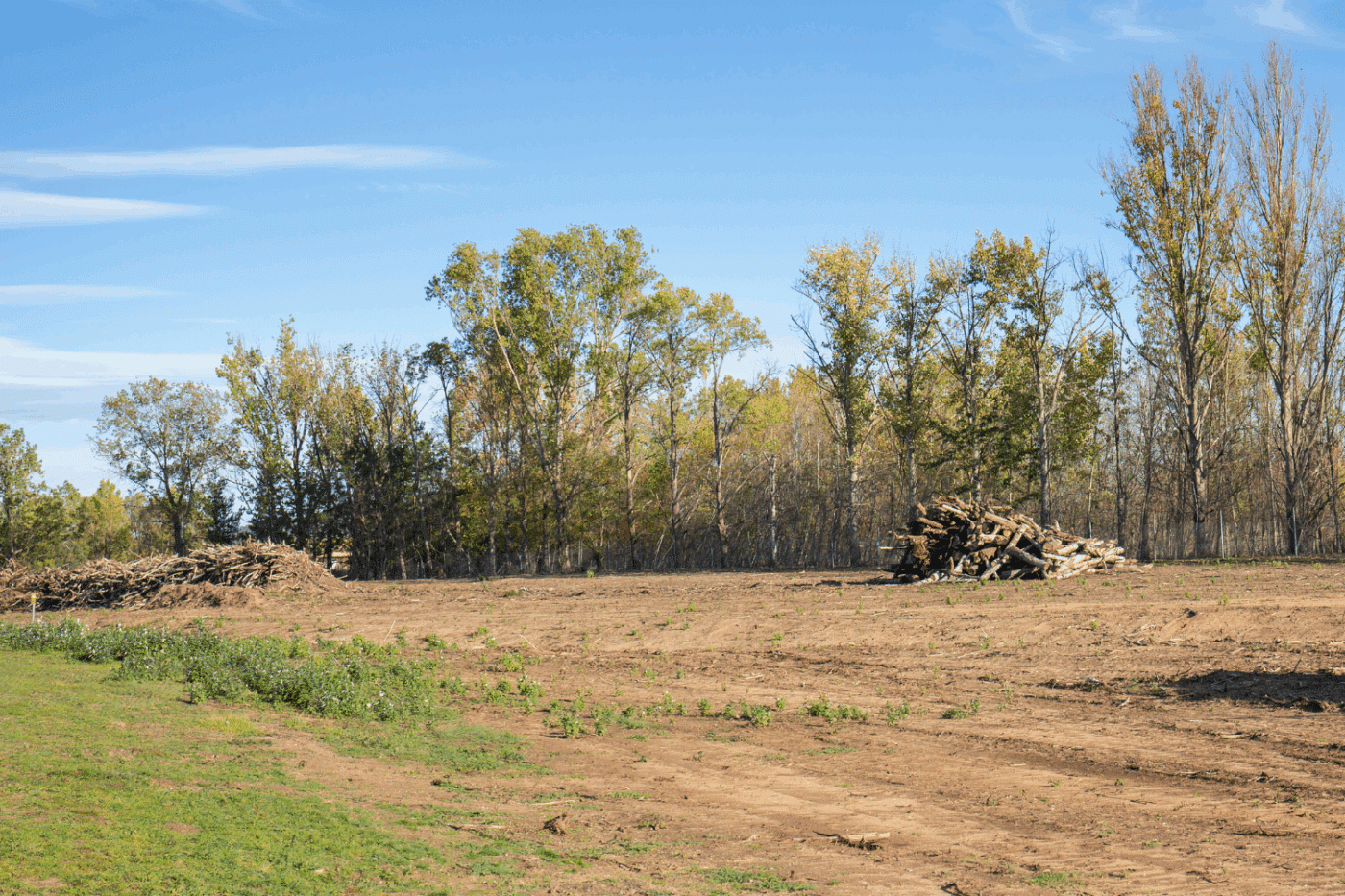 prepare site terrain for park mdoels