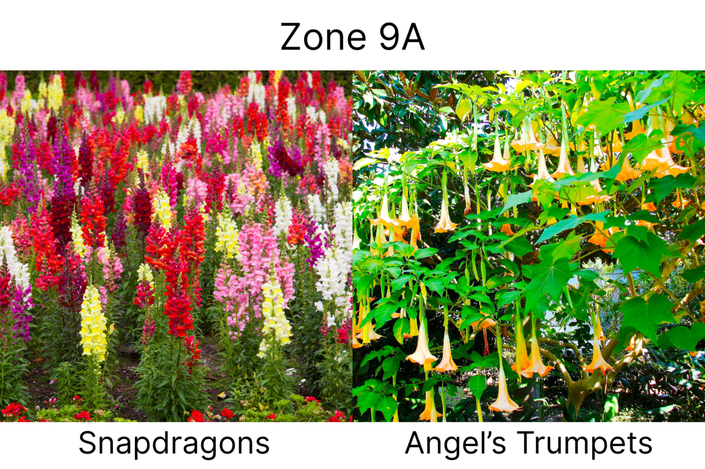 Manufactured Home landscape ideas 9a