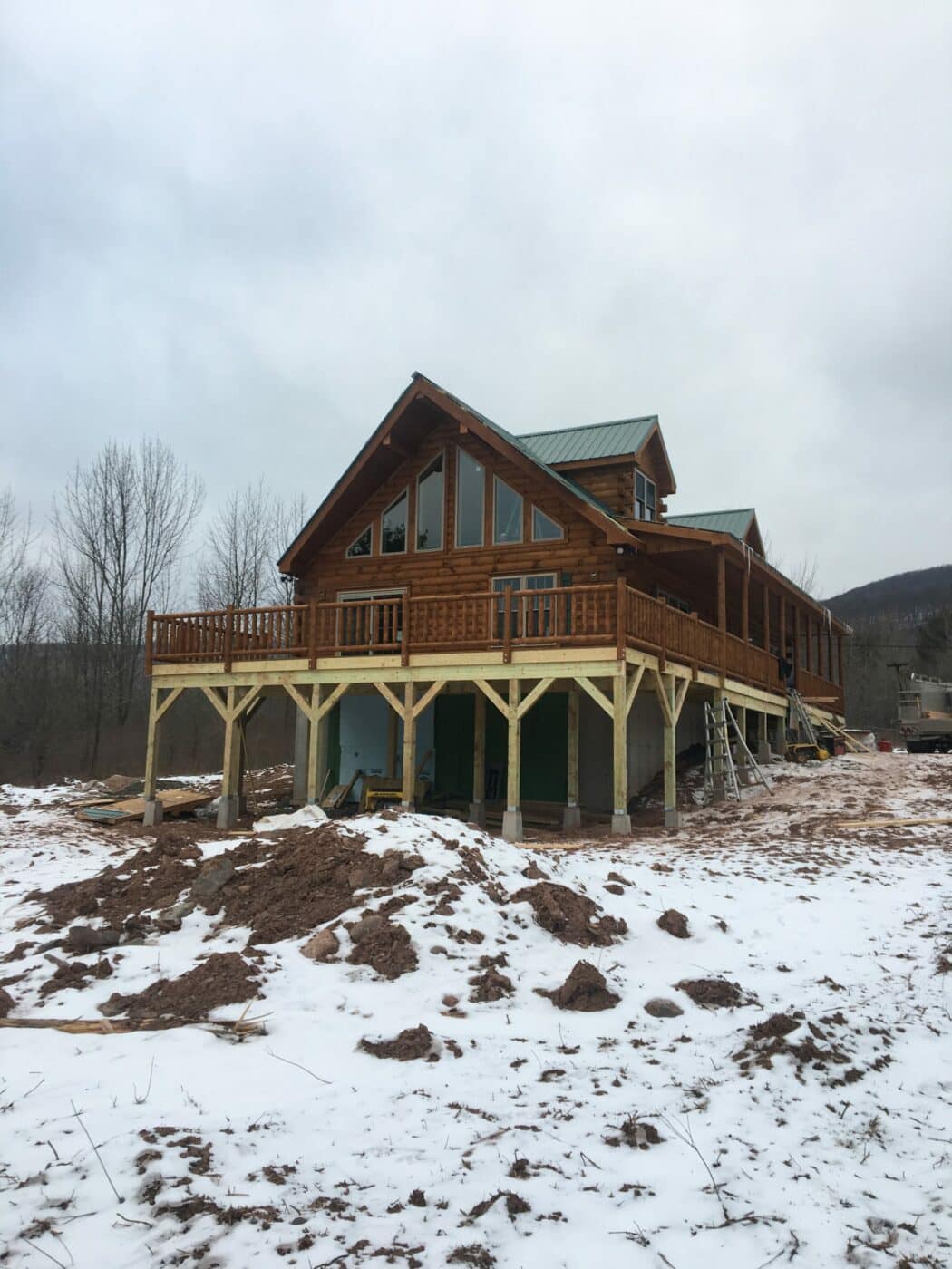 cabin in jewett new york in the snow