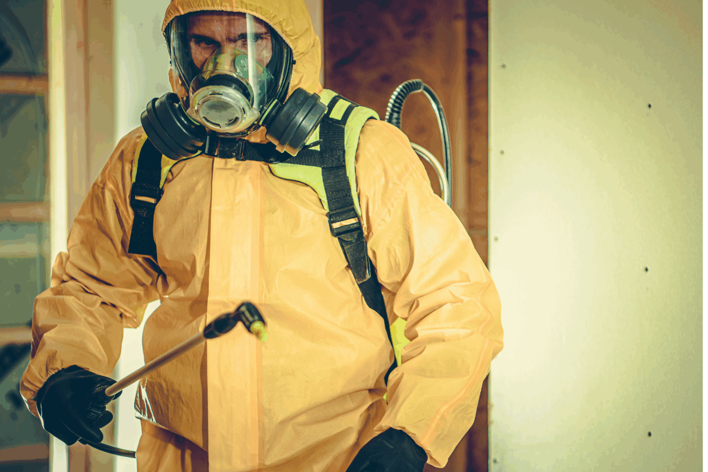 are musty cabins smells dangerous