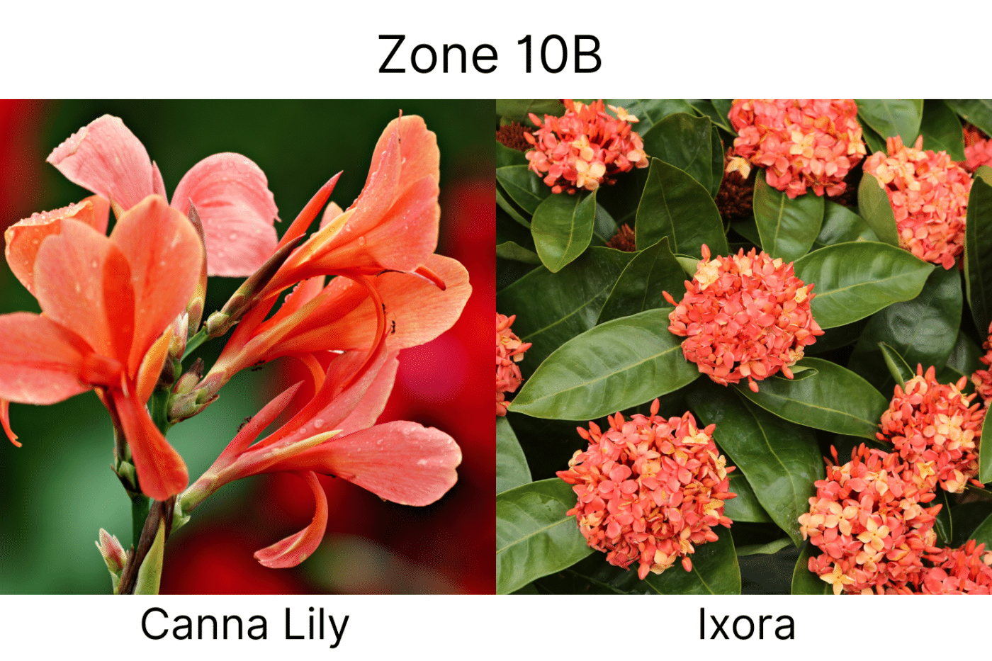 Manufactured Home landscape ideas 10b