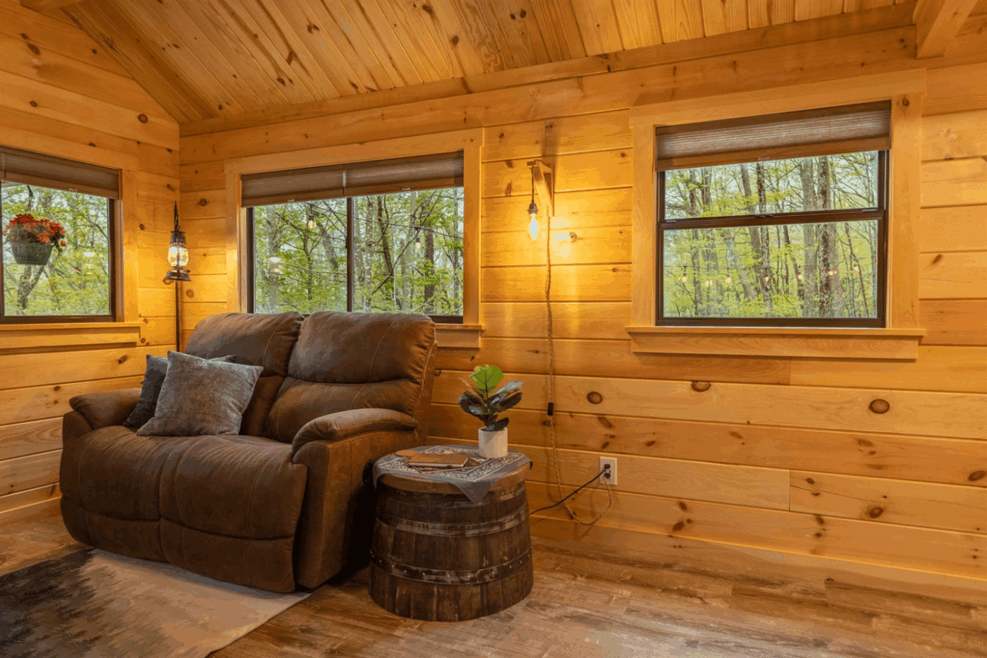 living room in Aspen log cabin tiny home built and designed by Psy Homes in Riverton West Virginia