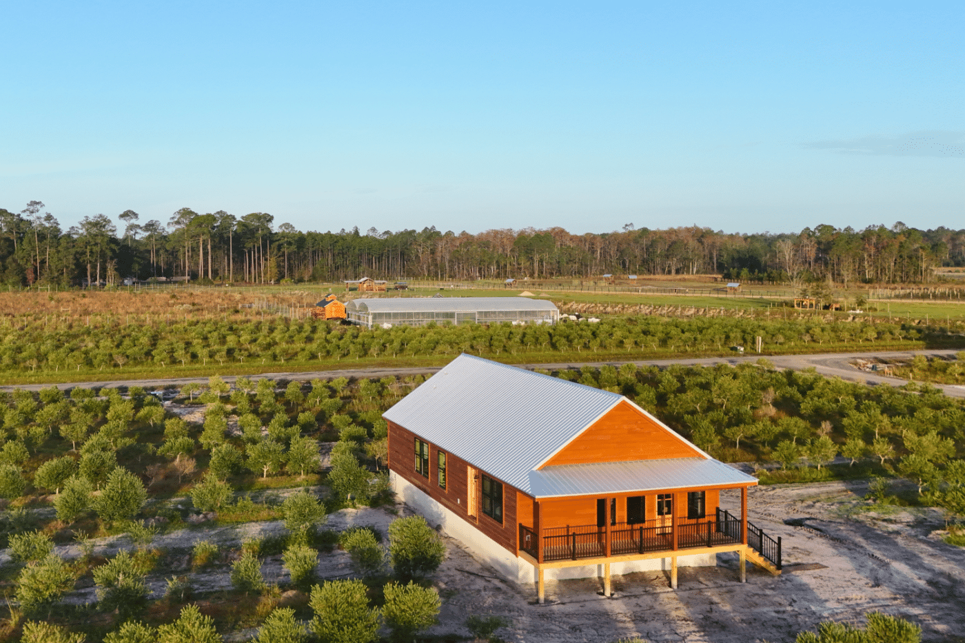 the honey bee cabin in a olive grove at okefenokee farm with zook cabins