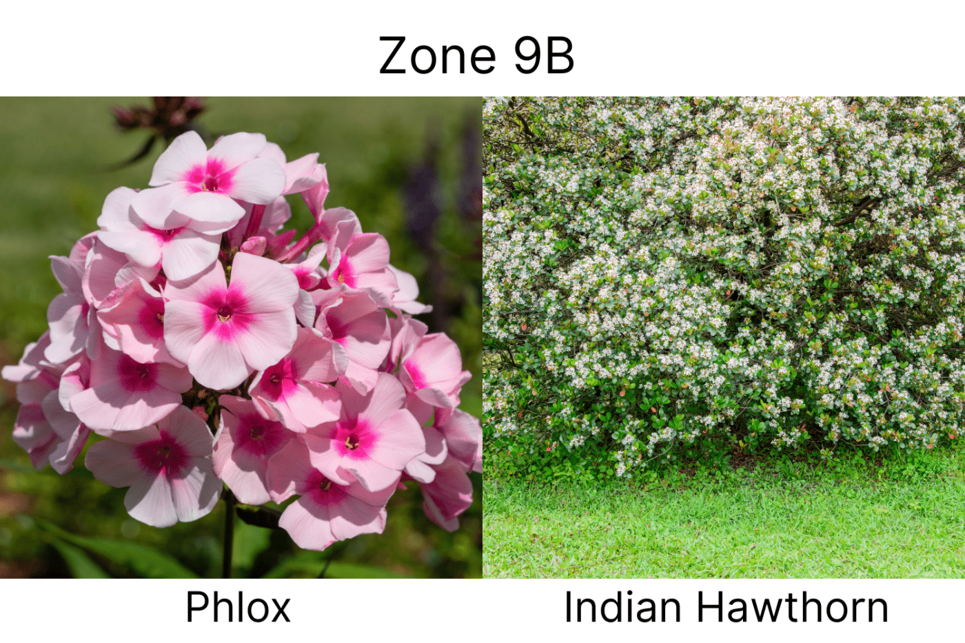 Manufactured Home landscape ideas 9b