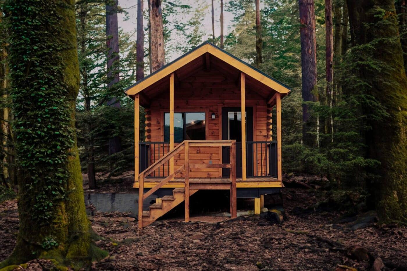 Park Model tiny home in the woods