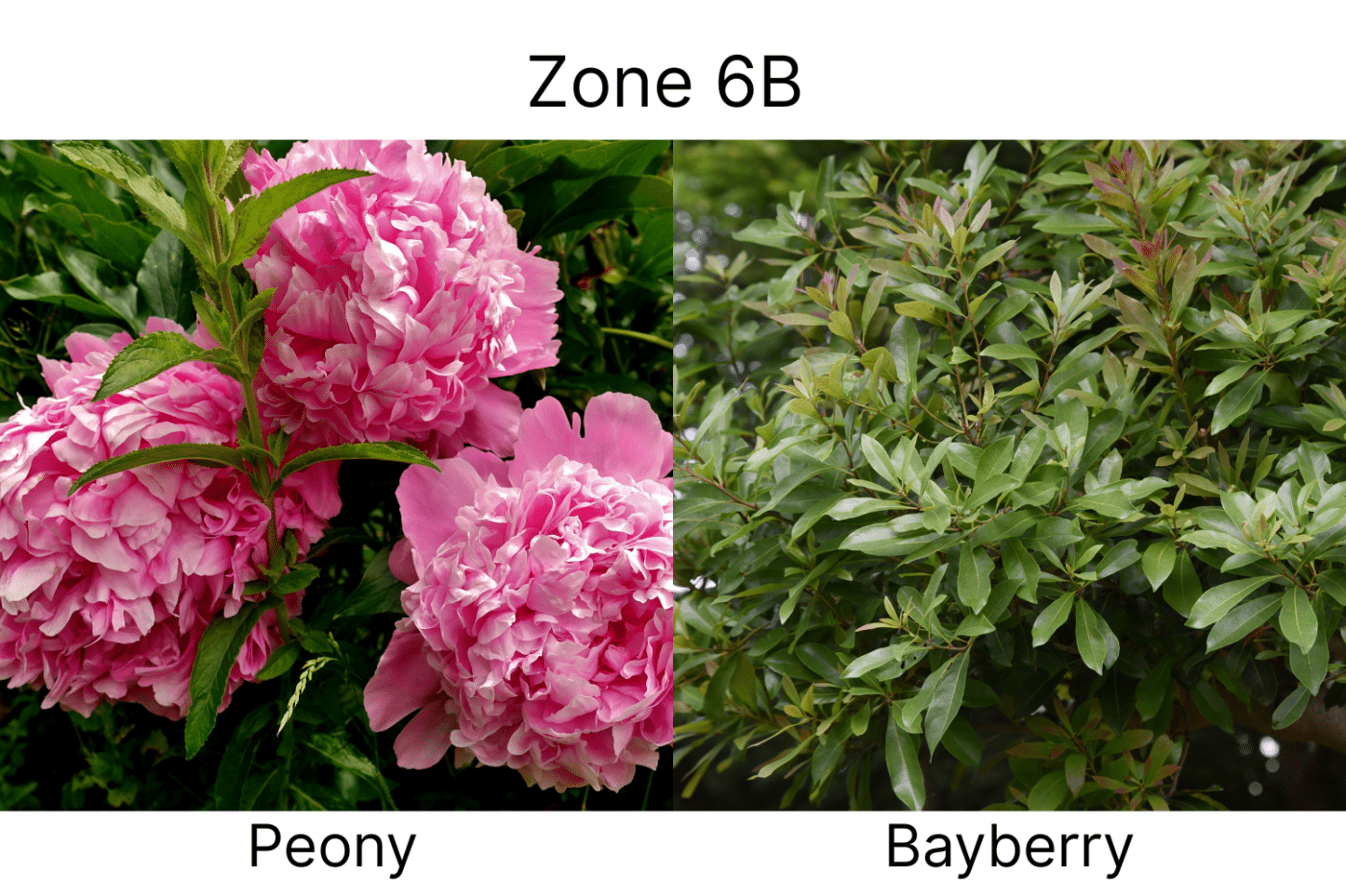 Manufactured Home landscape ideas 6b