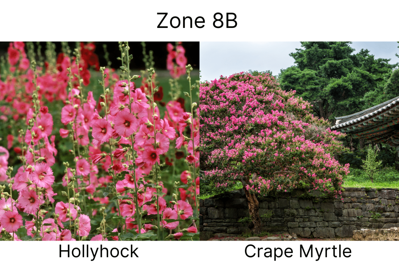 Manufactured Home landscape ideas 8b